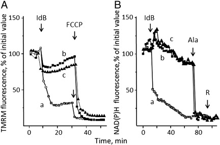 Fig. 2