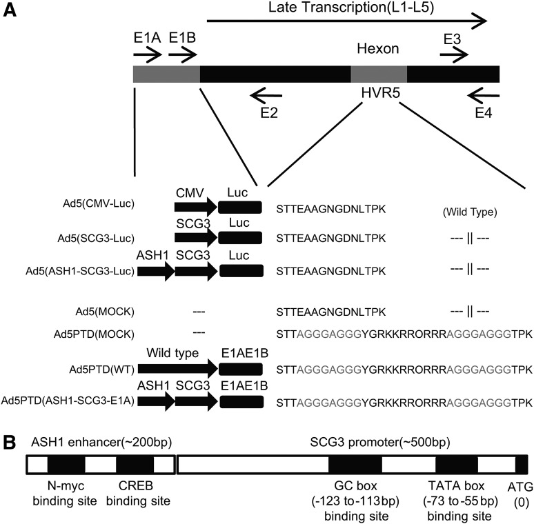 FIG. 1.