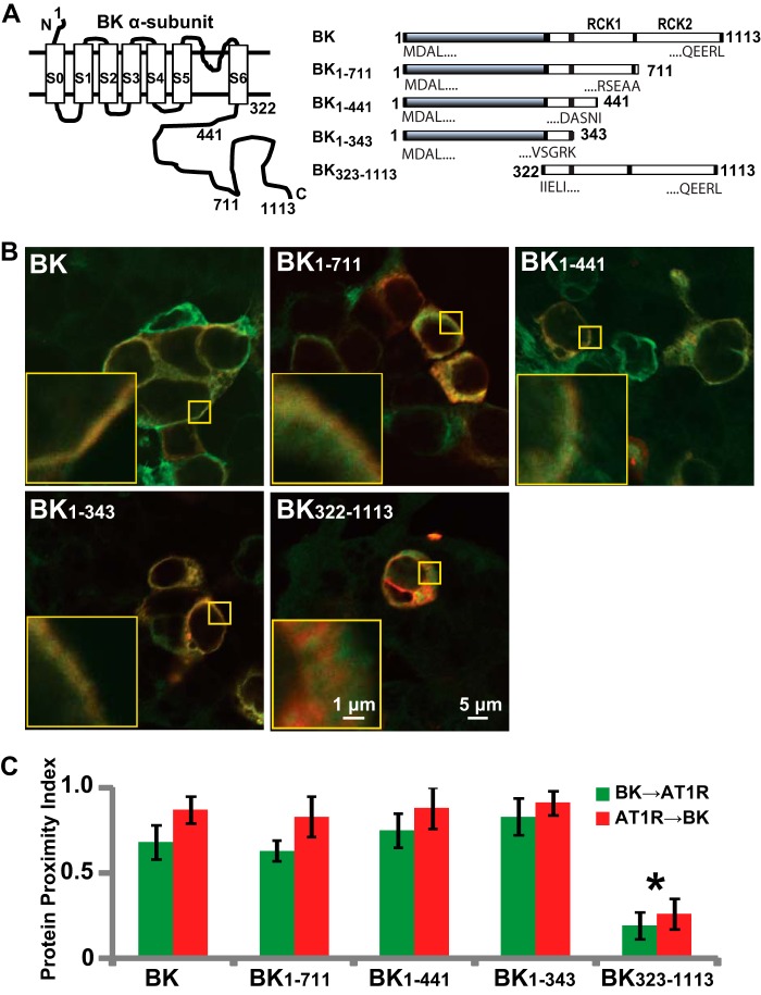 FIGURE 6.