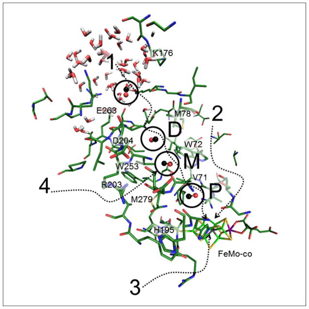 Figure 2