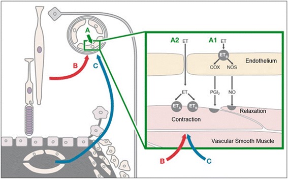 Fig. 7