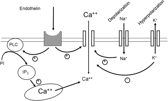 Fig. 10