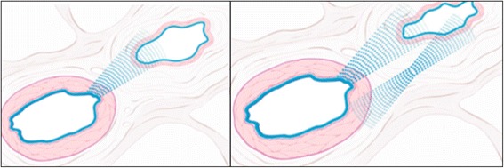 Fig. 8