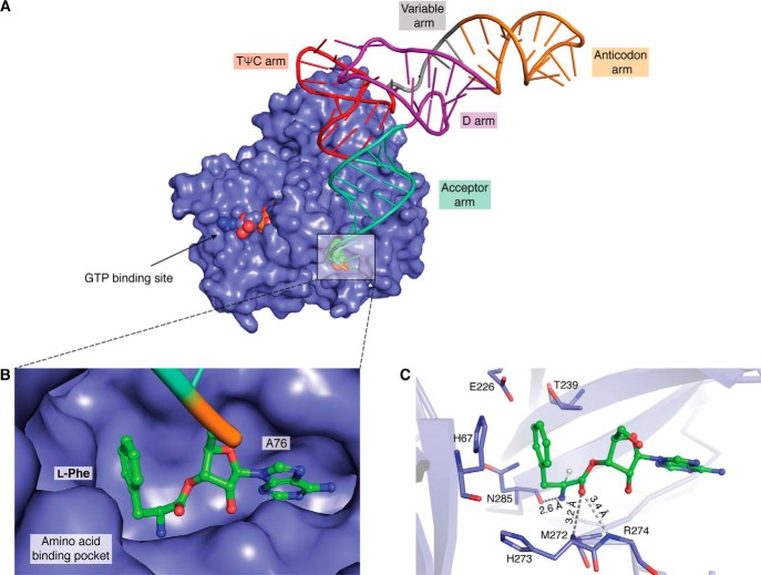 Figure 4.