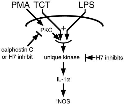 FIG. 6