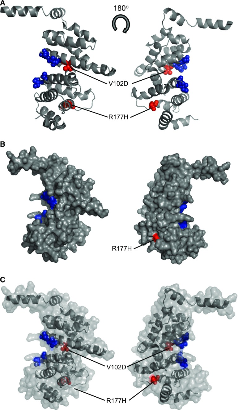 Figure 4.