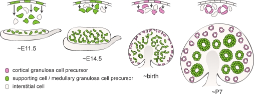 FIG. 8.