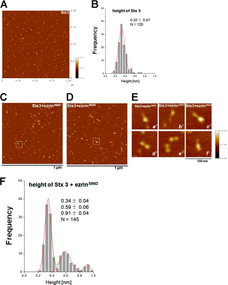 FIGURE 4.