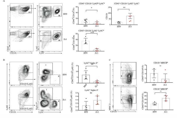 Fig 8