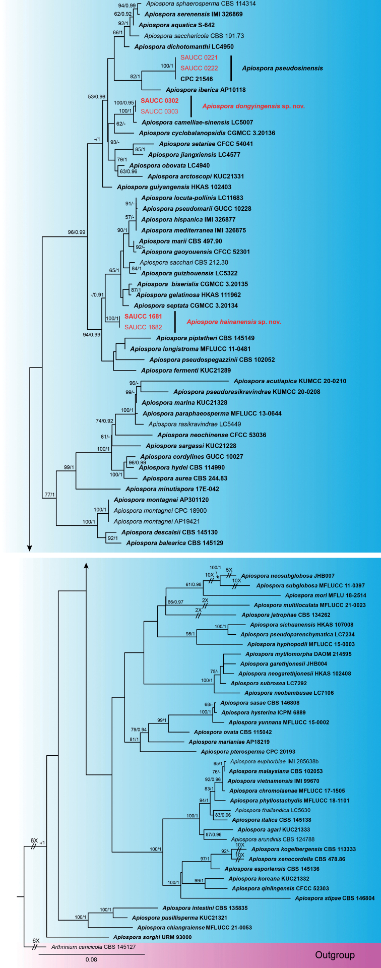 Figure 1.