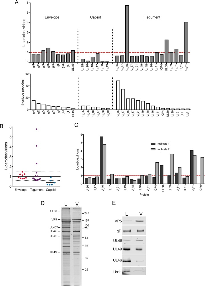 FIG 6