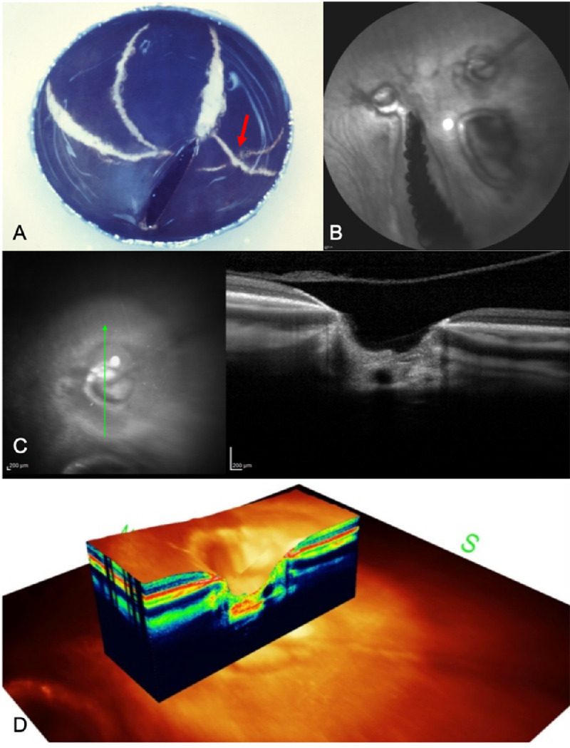 Figure 3.