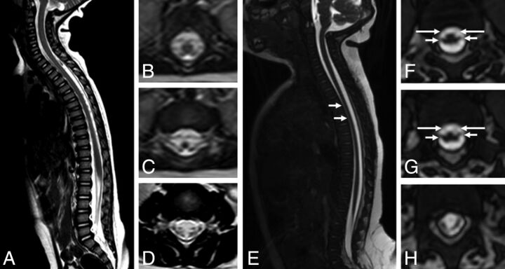 Fig 1.