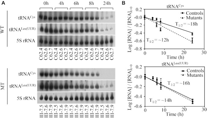 Figure 5.