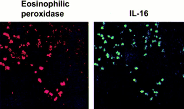 Figure 4  