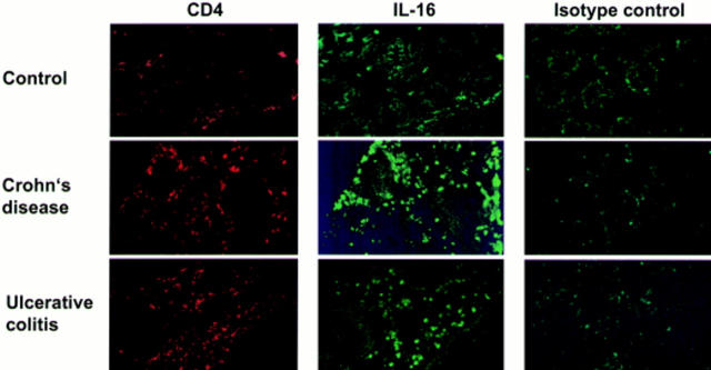 Figure 3  