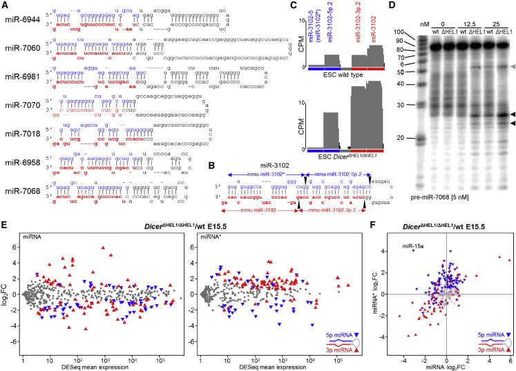 Figure 2