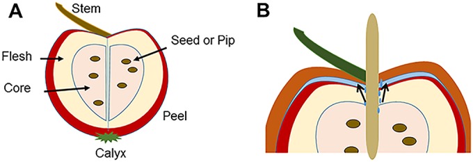 FIG 1 