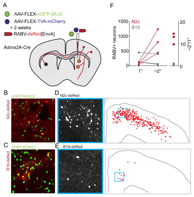 FIGURE 2