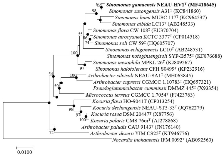 Figure 2