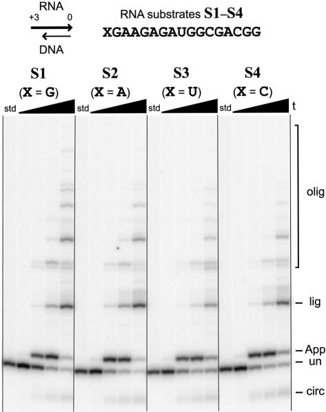 FIGURE 5.