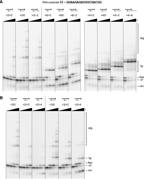 FIGURE 4.