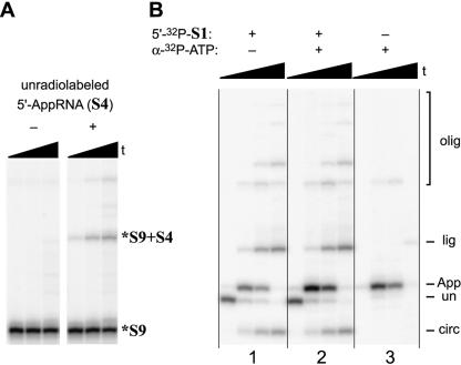 FIGURE 10.