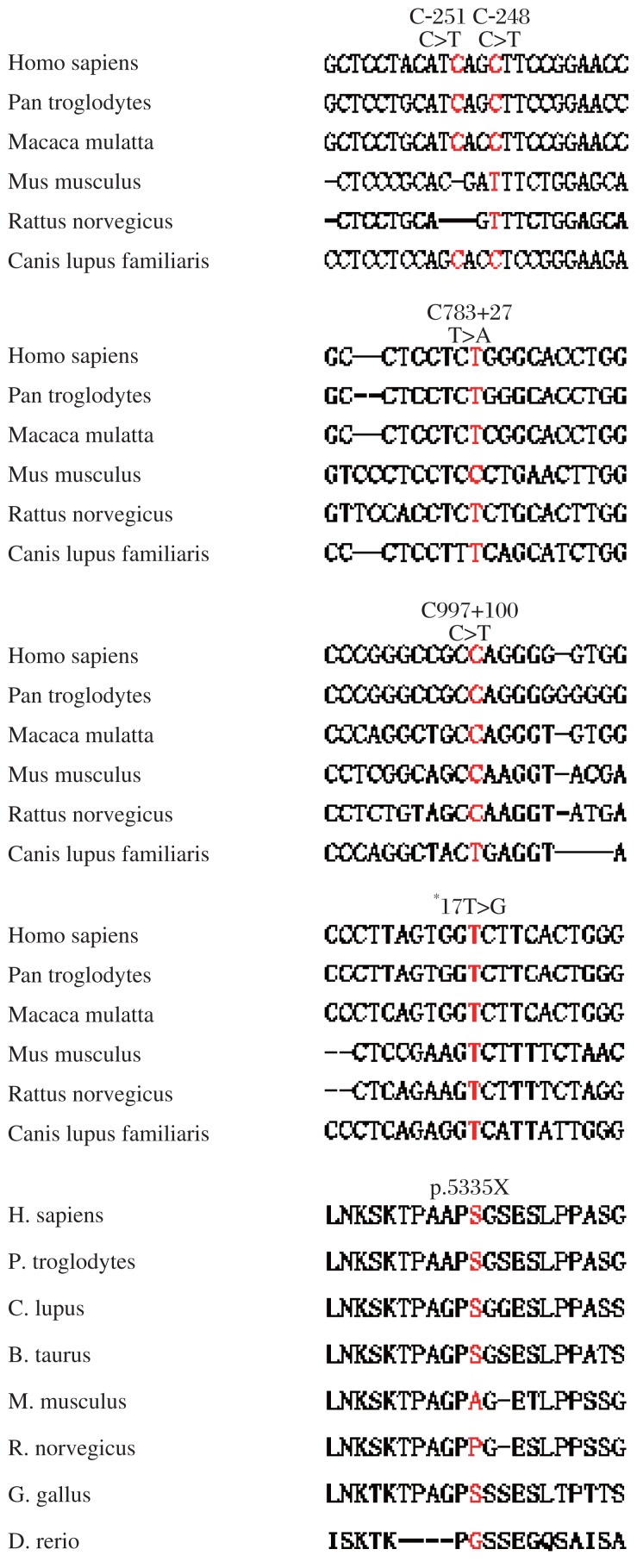 Fig.2