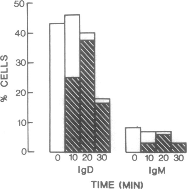 graphic file with name pnas00017-0374-a.jpg