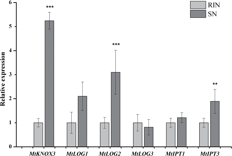 Fig. 7.