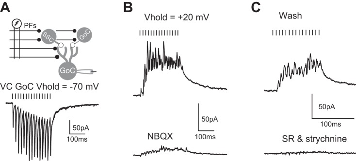 Fig. 8.