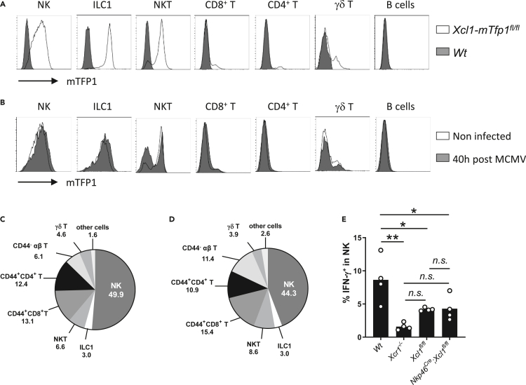 Figure 3