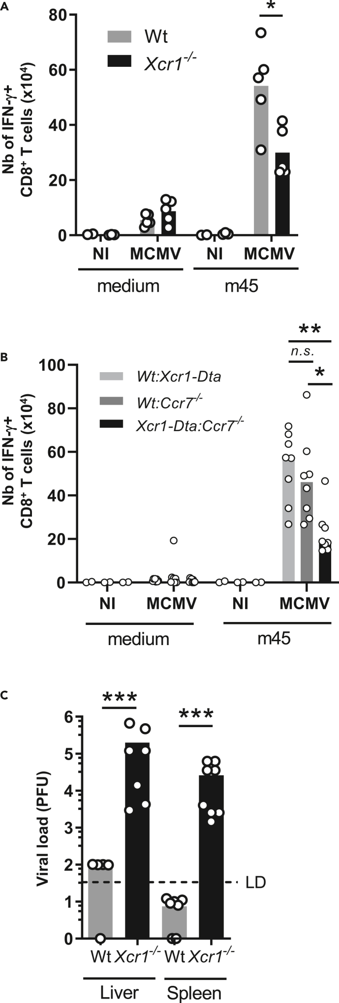 Figure 6