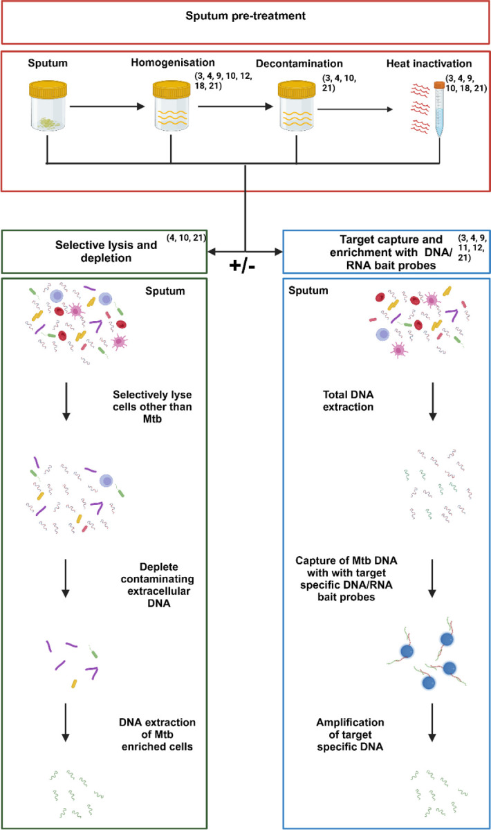 Figure 2: