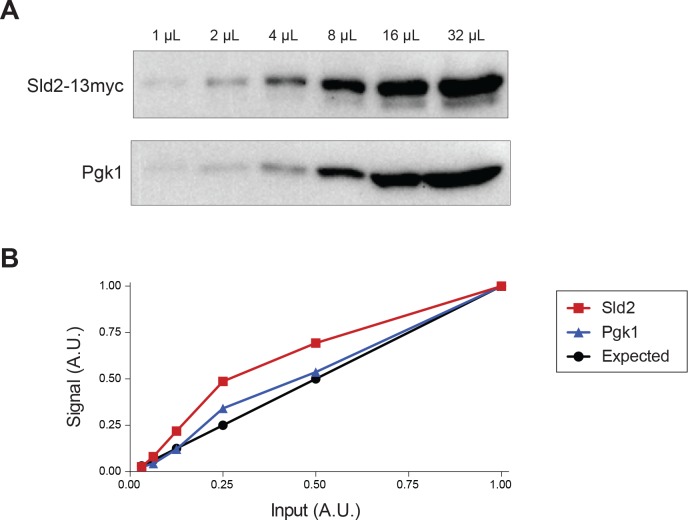 Figure 6—figure supplement 3.