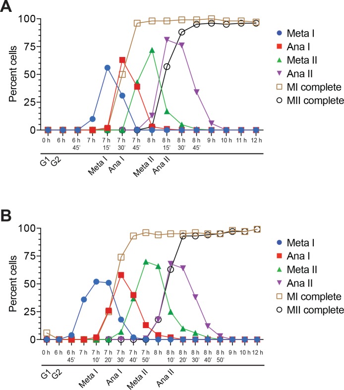 Figure 2—figure supplement 1.