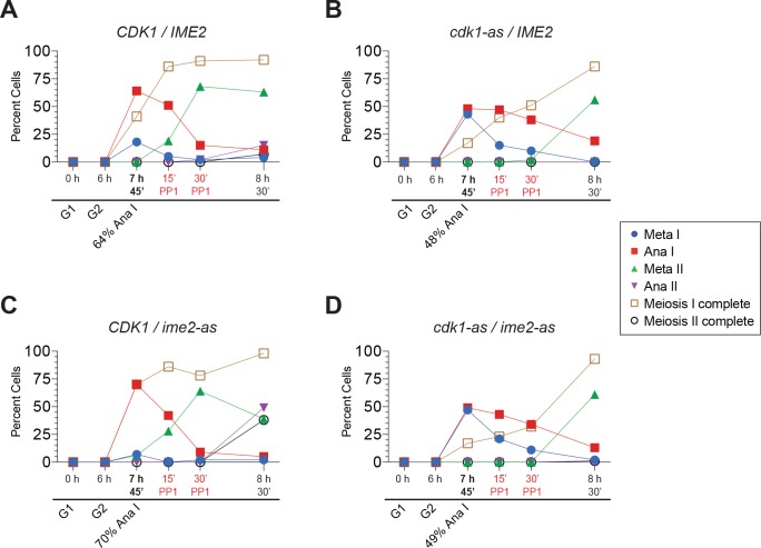 Figure 5—figure supplement 1.