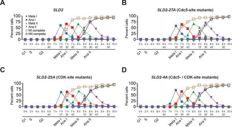 Figure 6—figure supplement 2.