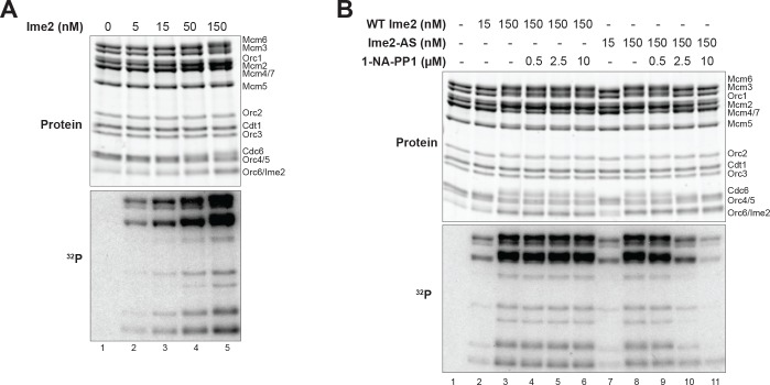 Figure 3—figure supplement 2.