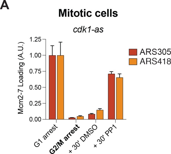 Figure 5—figure supplement 2.