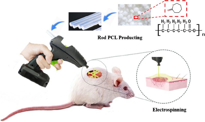 Fig. 1