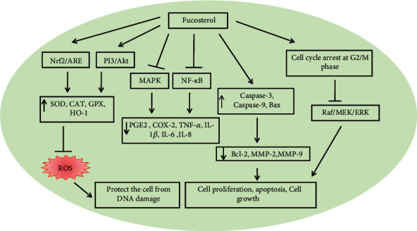 Figure 16