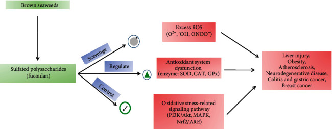 Figure 14