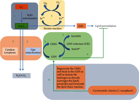 Figure 6