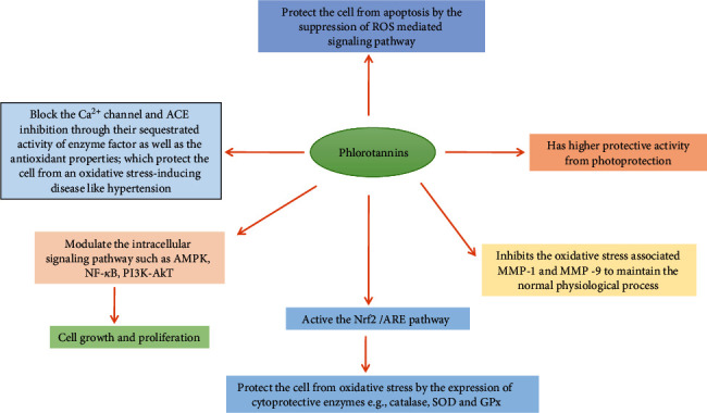 Figure 13