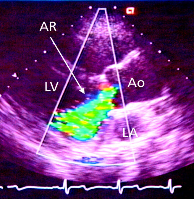 Figure 4:  