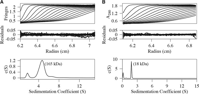 FIGURE 2.