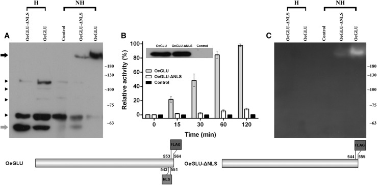 Figure 6.