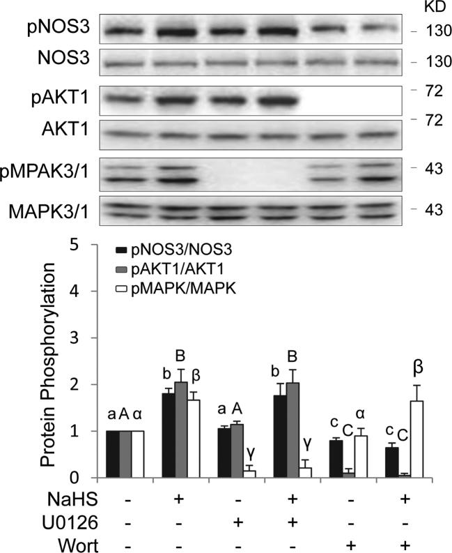 Figure 5.