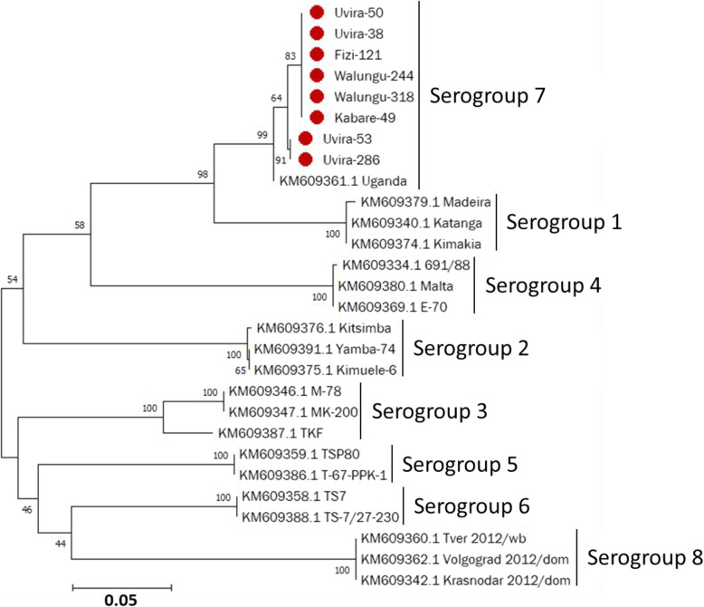 Fig. 3